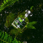 Nou Bergamot Perfume for Women EDP 50ml